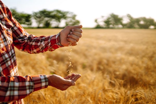 Benchmarking ProTerra Standard V5 and Europa Soya Guidelines (Feb 2025)