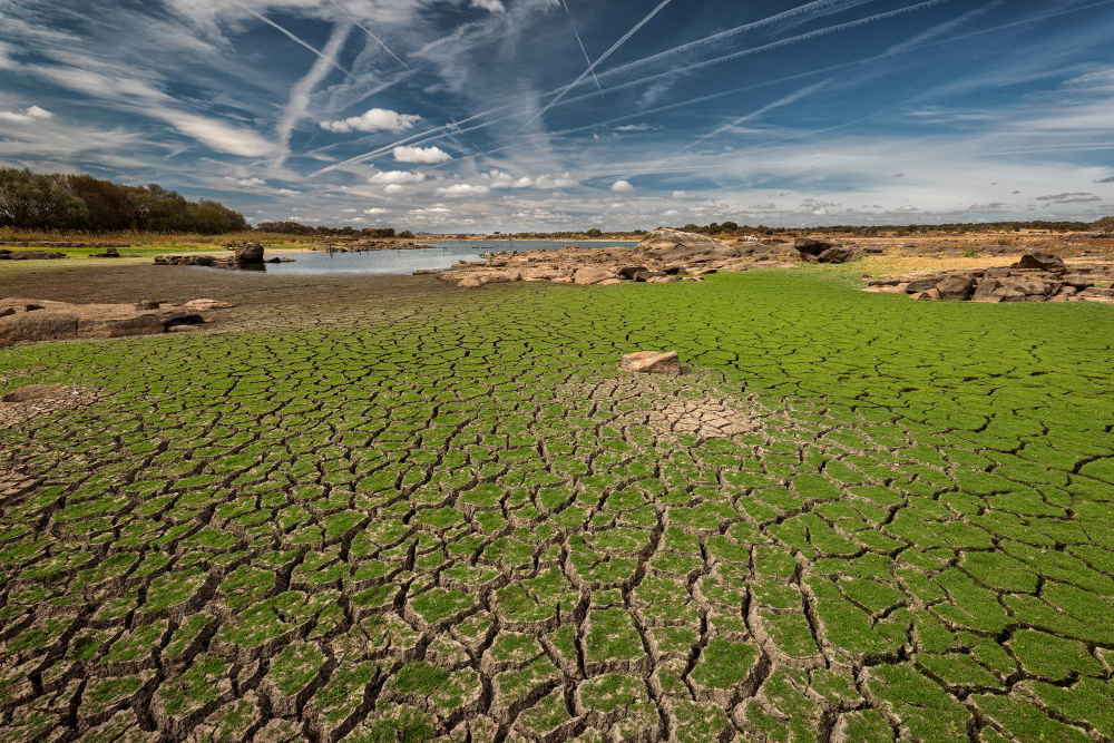 soil degradation and salinization