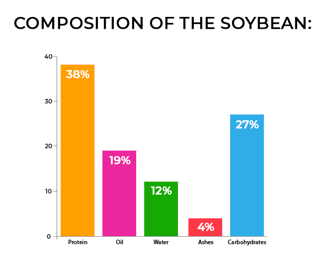 The importance of soy in crop rotation