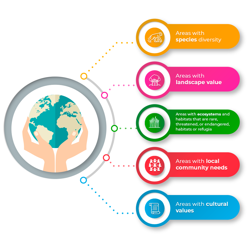 What Are Hcvs Proterra Foundation