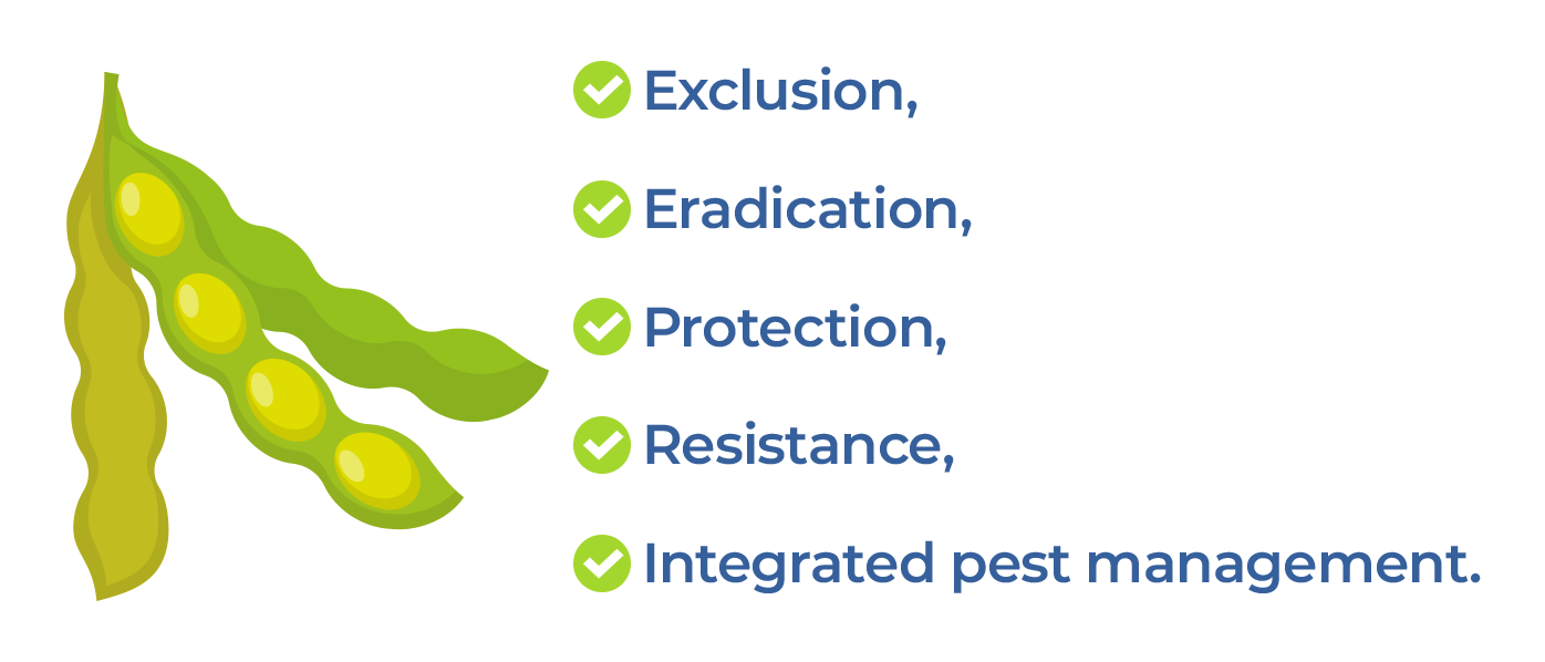 Diseases in soy production