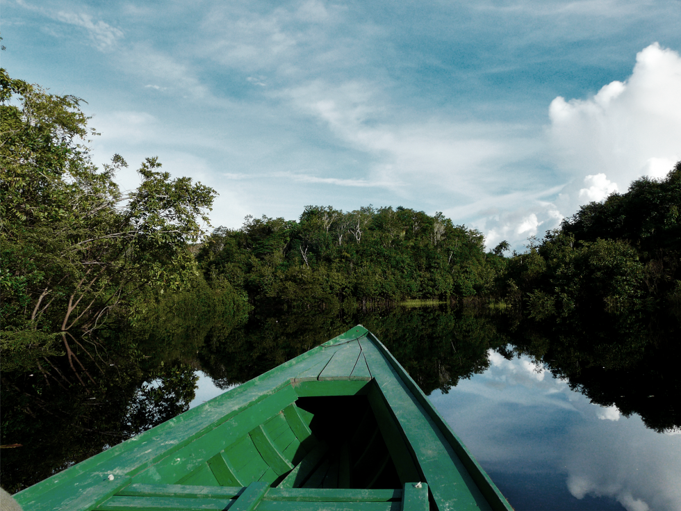 Protection of the Amazon