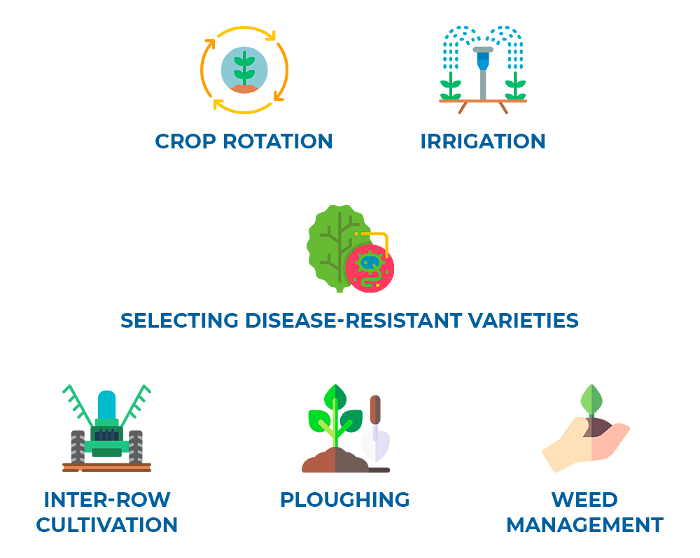 Integrated Pest Management in soybean production final 2