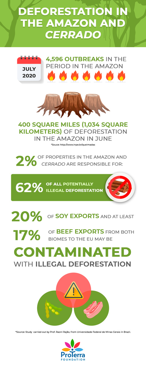 Deforestation and Forest Fires ProTerra supports companies to avoid sourcing raw materials within their supply chain connected to land use change compact2