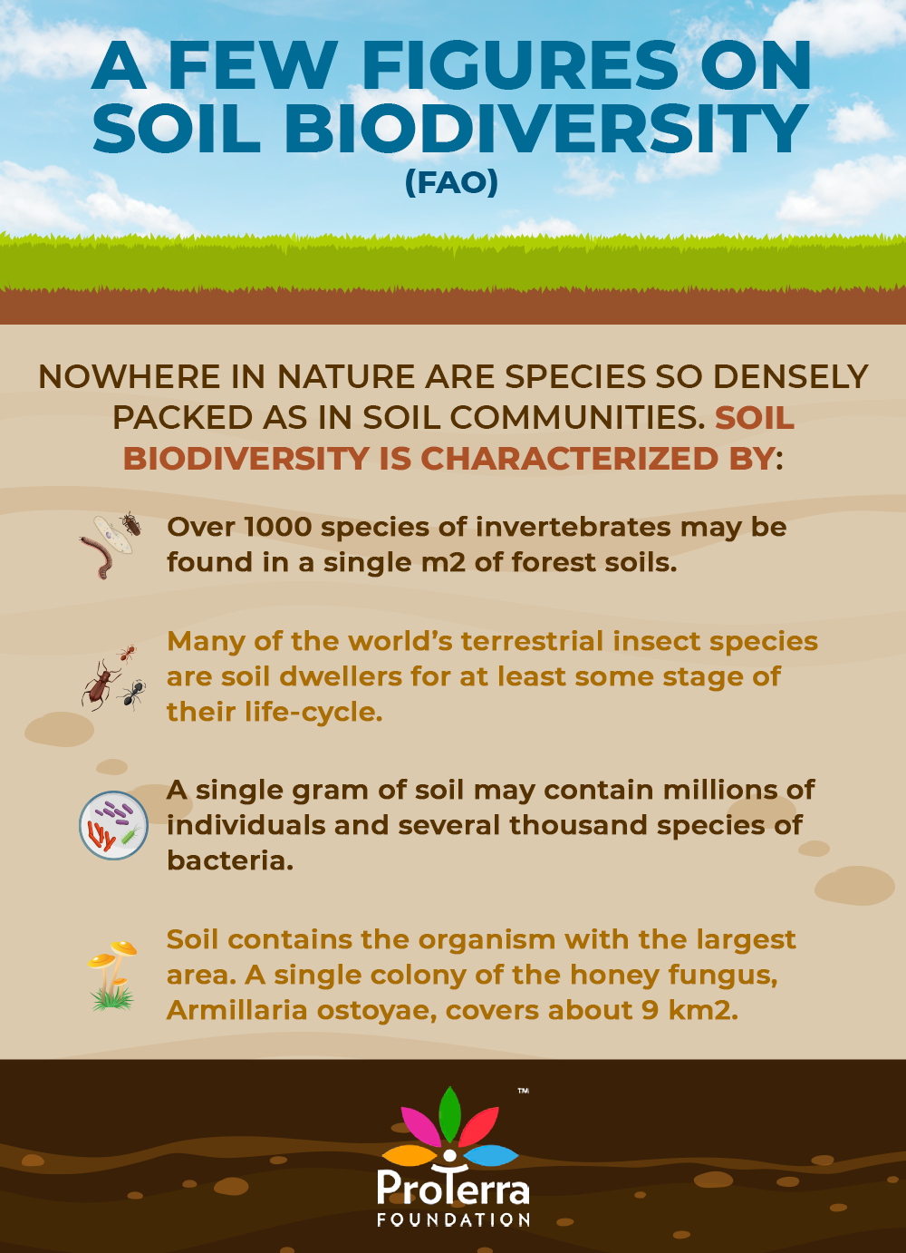 essay on conservation of soil