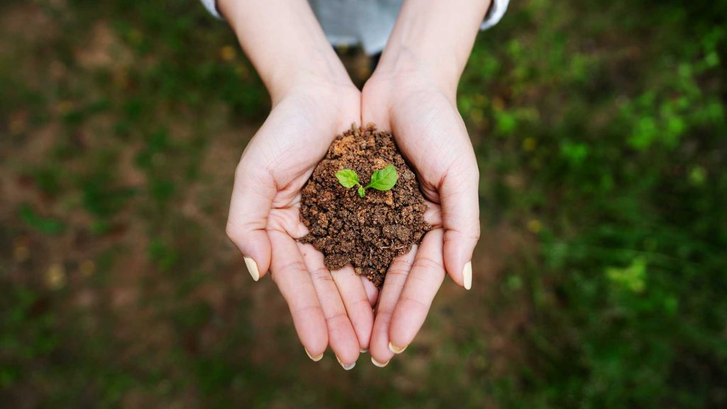 Hands with a handful of soil with a small plant in it