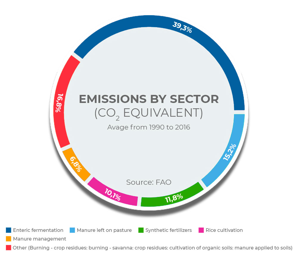 Greenhouse gas emissions in agriculture - ProTerra Foundation