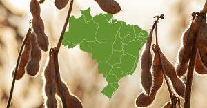 An initiative to achieve 100% percent deforestation-free supply chains from Brazil