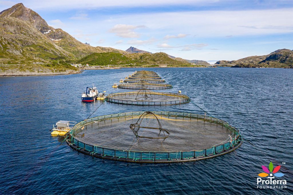 norwegian-salmon-delivers-on-deforestation-soy-in-brazil_