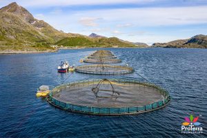 norwegian-salmon-delivers-on-deforestation-soy-in-brazil_