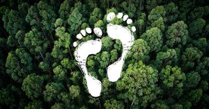 ProTerra Webinar: The pathway to forest-positive supply chains