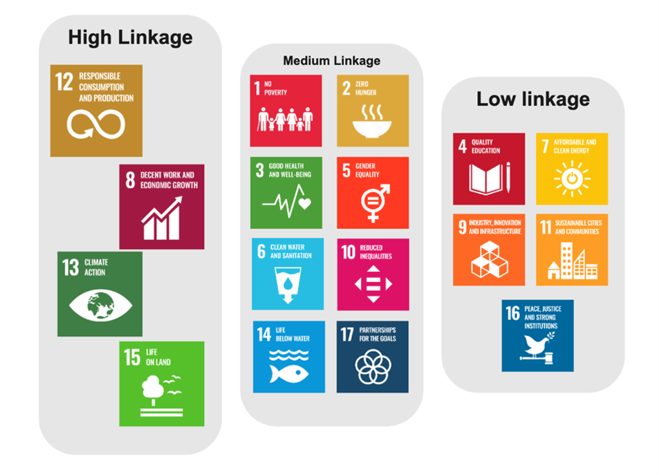 Voluntary Sustainability Standards and the SDGs Is there a connection 2