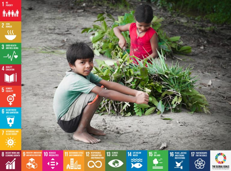 Voluntary-Sustainability-Standards-and-the-SDGs-Is-there-a-connection