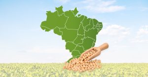 Brazil is progressing towards significant growth in the non-GMO soybean acreage