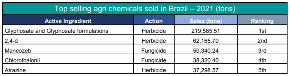 Brazilian producers of non-GMO soybeans are seeing a very positive year in the fields. 