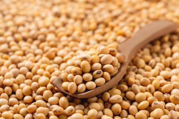 ProTerra MRV Standard: Recognised by German QS for soybean products