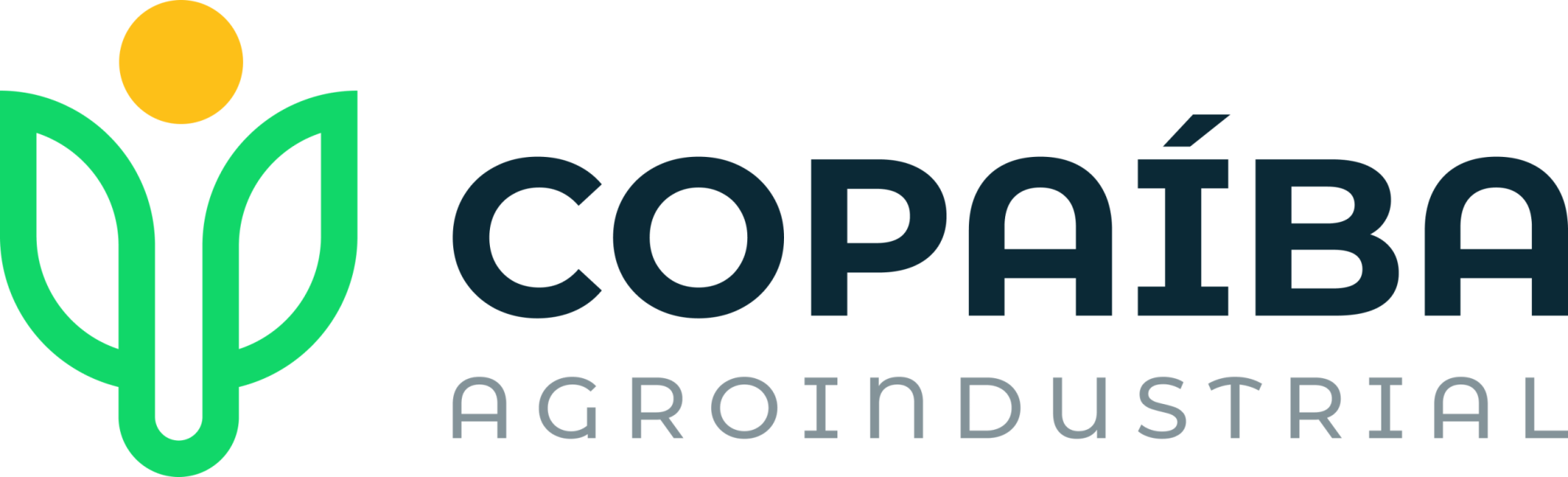 Copaíba Agroindustrial Ltda