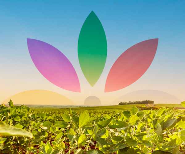 Invitation to Join the ProTerra Stakeholders Council and Standards & Certification Committee