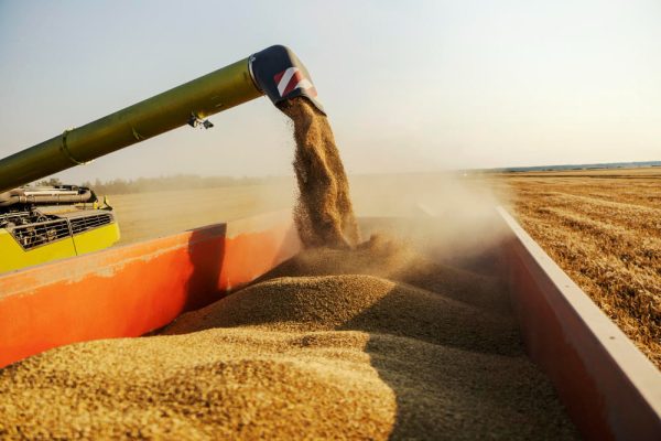 Vega Monitoramento Reaches New Heights by Becoming a Member of the ProTerra Network (2)