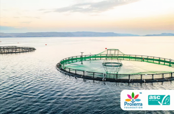 ProTerra MRV Standard Recognised on ASC Feed Accepted Certification Schemes List 2